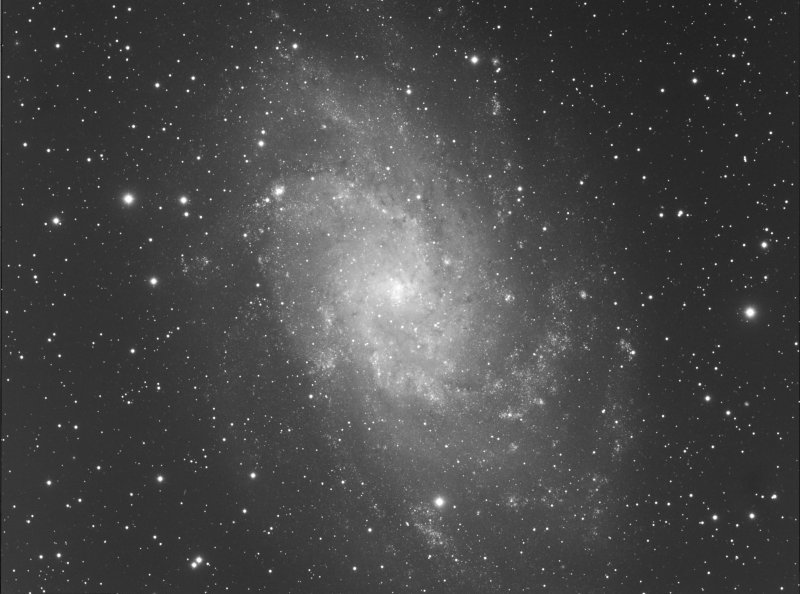 M33 Luminance