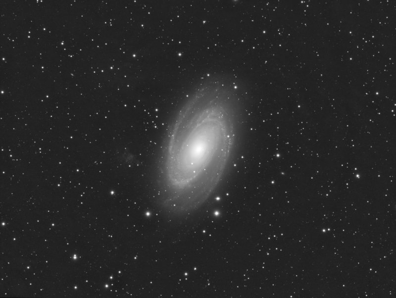 M81  Luminance