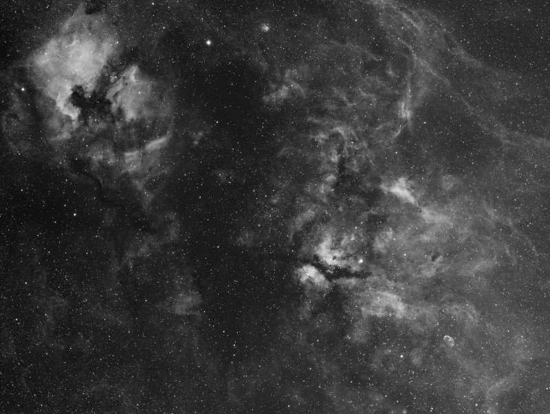 Cygnus Area Wide Field