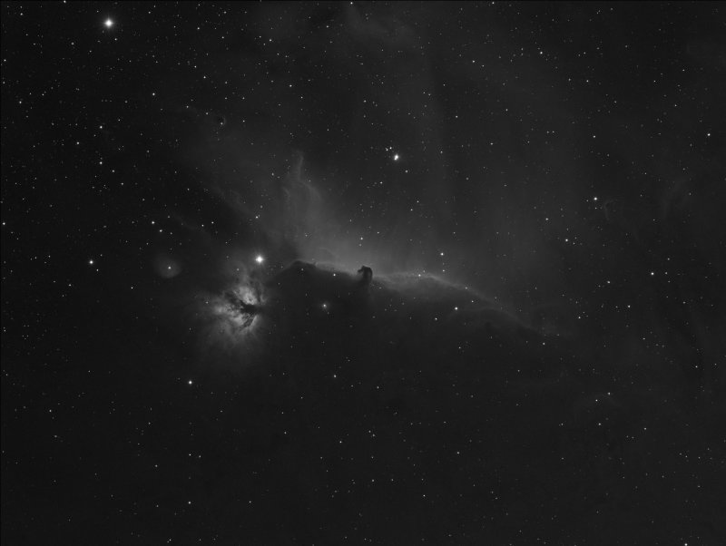 Horse Head and Flame Nebula first nights data