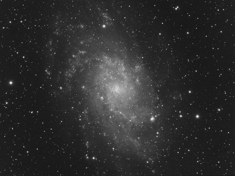 M33 Luminance and Ha