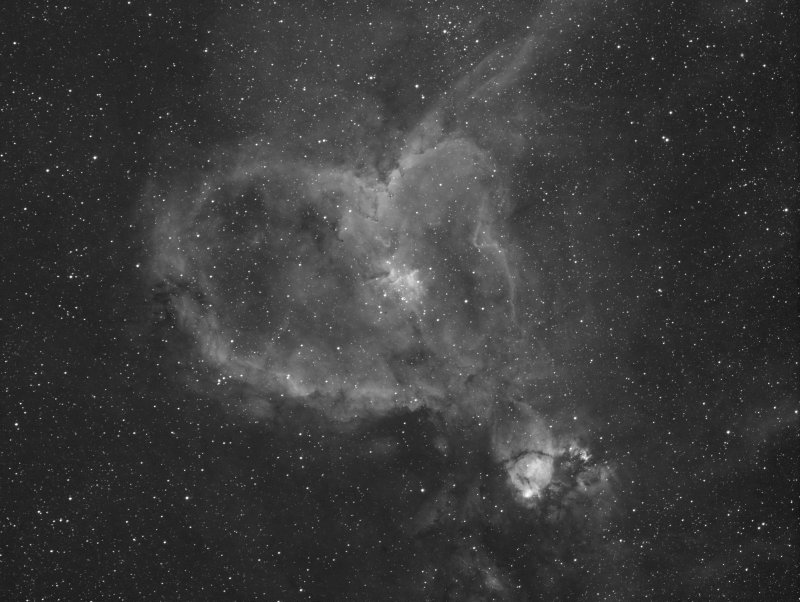 Heart Nebula in Ha