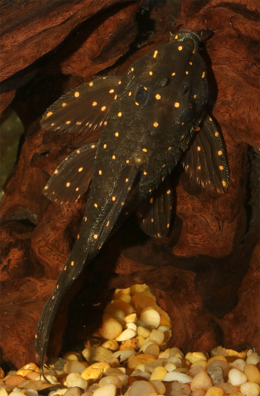 MP_001.jpg