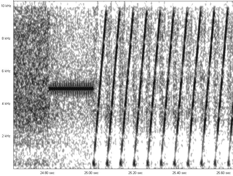 37_190_MHz_Med_burst_with_pilot_002.jpg
