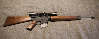 Wood_AR_001.jpg