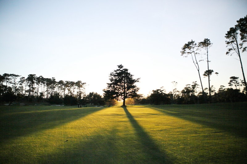 7T0A3634_adjJPG.JPG