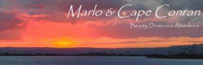 Marlo and Cape Conran