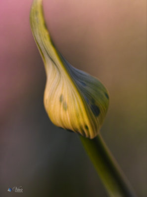 g12/50/793550/3/172143616.ccnXPf9A.jpg