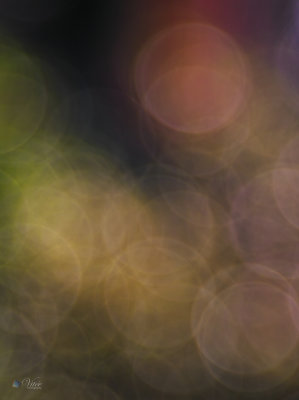 g12/50/793550/3/172143634.7iIQgPib.jpg