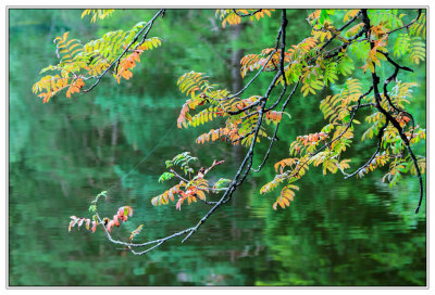 Wasser - Wasserlandschaften - Water - Water landscapes