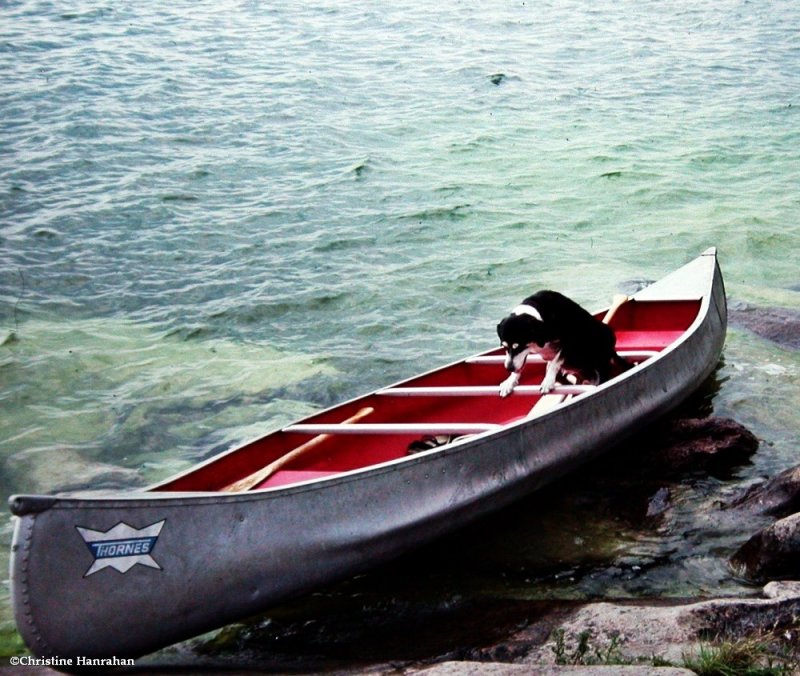 I'll paddle my own canoe!