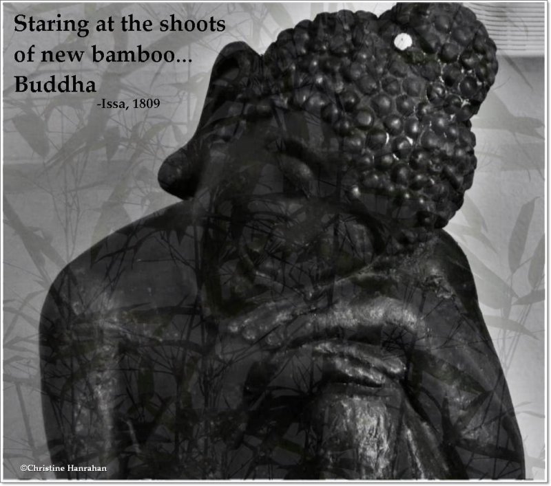 Buddha and bamboo