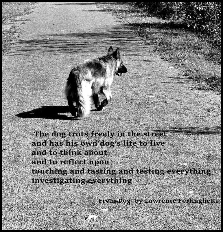 Remembering Lawrence Ferlinghetti (1919-2021), American poet