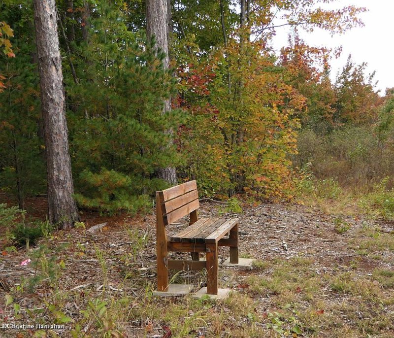 B is for Bench