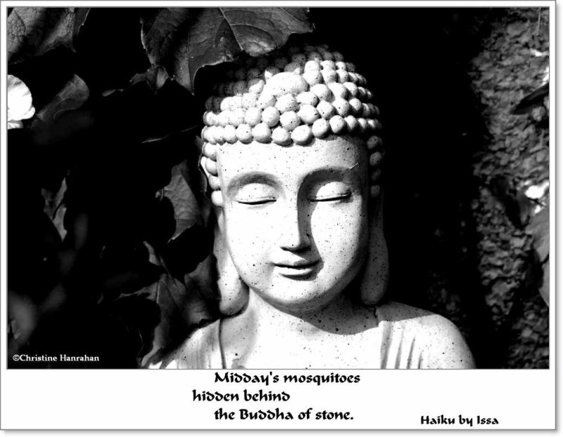 The Buddha of stone