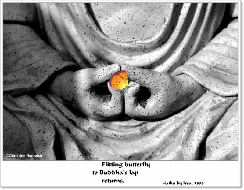 Buddha's lap...