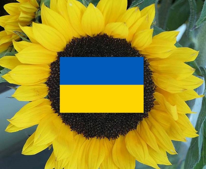 Hope for peace