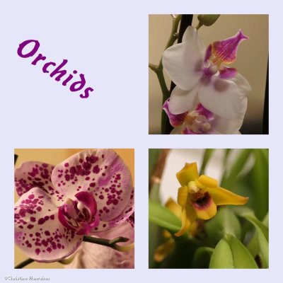 g12/50/883250/3/171500020.OsUwgLt5.jpg