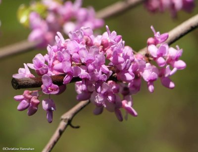 g12/50/883250/3/172605154.hLxjhVBc.jpg