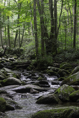 Creek, Great Smoky Mountains