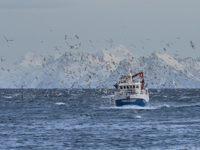 Fishboat - vissersboot