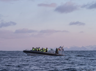 Whalesafari - Walvissafari