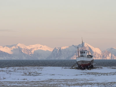 Fiskenes