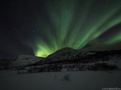 noorderlicht - northern lights
