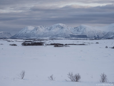 Nordmela