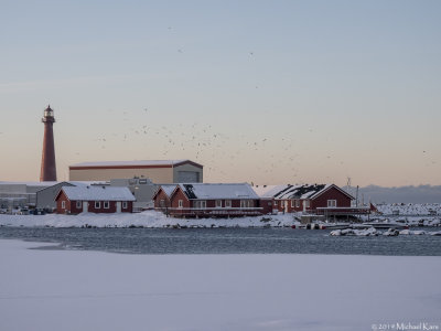 2019 - Noorwegen - Andoya