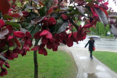 13.05.2019
