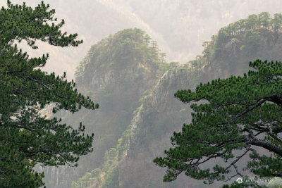 Sutjeska national park