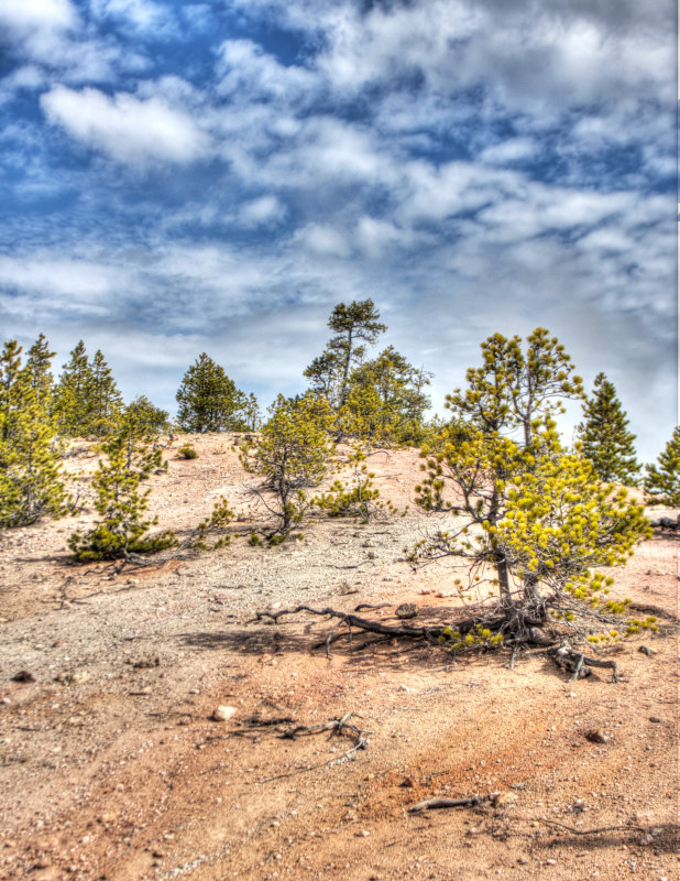IMG_6992_3_4_tonemapped.jpg