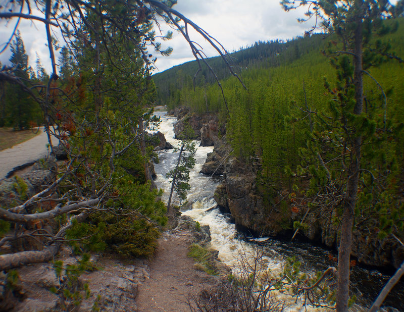 IMG_0500_1.jpg