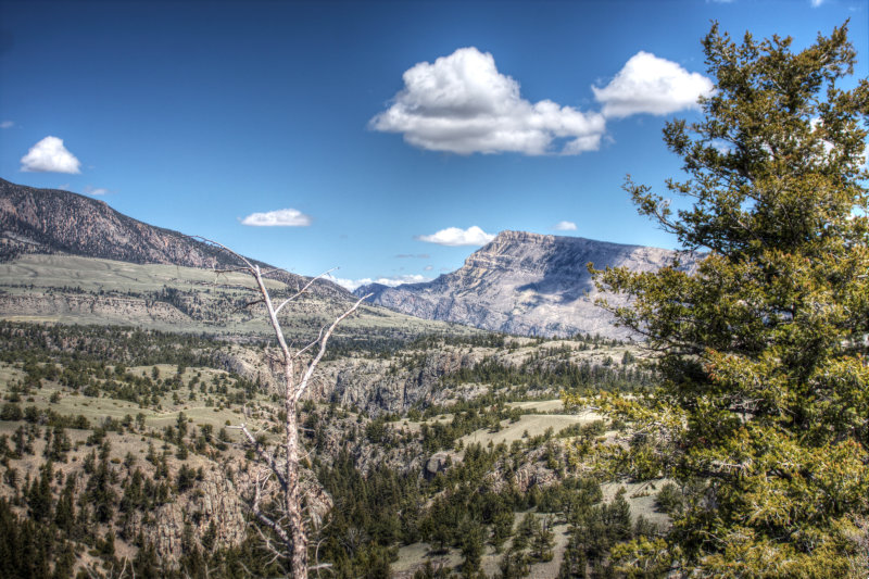 IMG_7082_3_4_tonemapped.jpg
