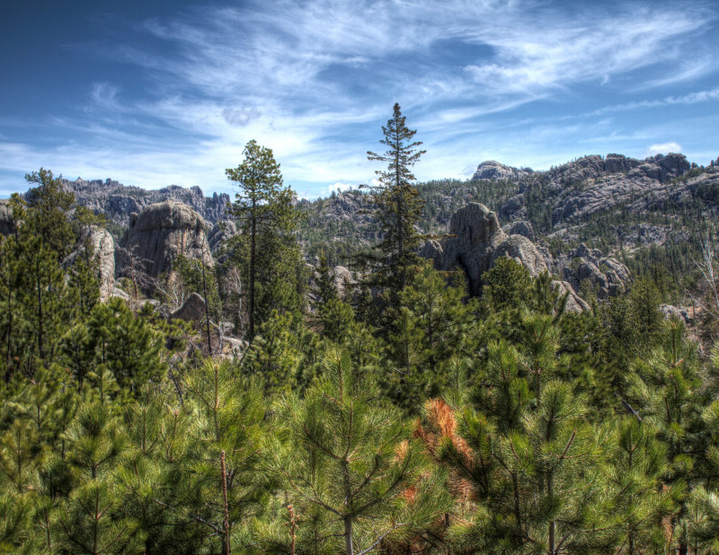 IMG_0610_1_2_tonemapped.jpg