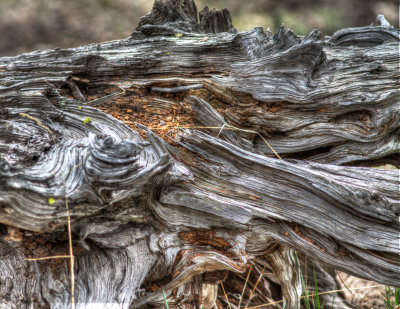 IMG_0504_5_6_tonemapped.jpg