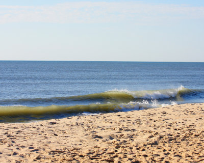 IMG_7718.jpg