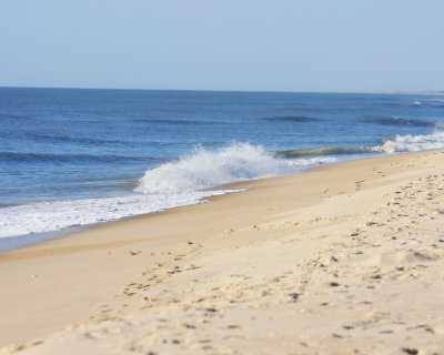 IMG_7731.jpg