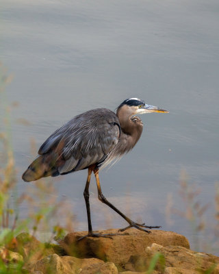 IMG_1879.jpg