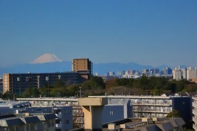 Fuji-San View