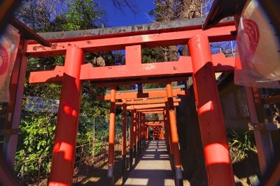 The Torii Way