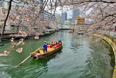 The Sakura River