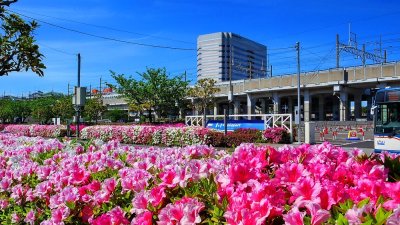 Numa Rua Moderna, Mesmo Em Frente Ao Ikea