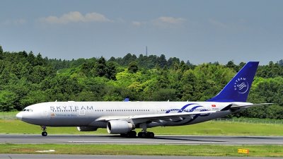 Vietnam A330-200, VNA371, Skyteam, Now Gone