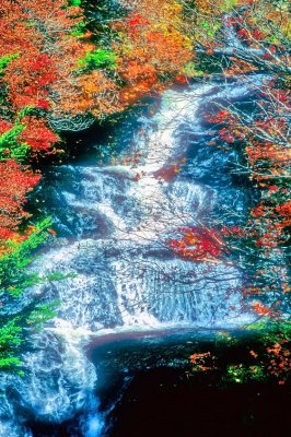 Autumn Falls On Film 
