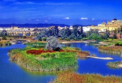 Cordova River View   