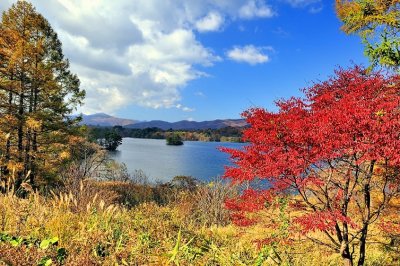 A Fukushima Lake, in Autumn