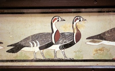 Meidum Geese, Egyptian Ducks,  Tomb Painting
