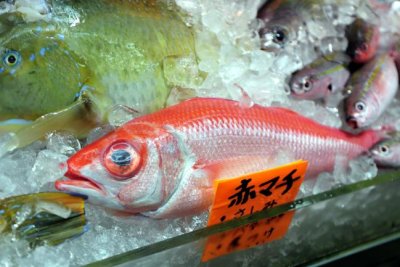 Red Fish In Market: Red Snapper? - For Sashimi